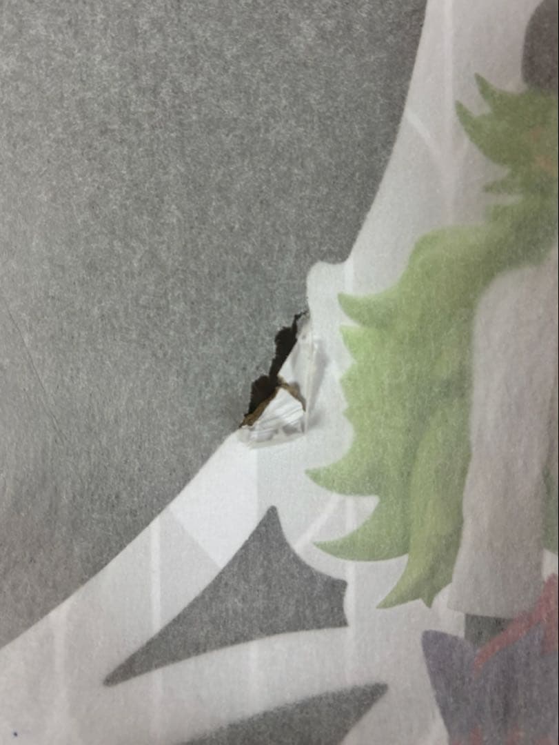 ポケモンセンターオリジナル フィギュア N＆ゾロア