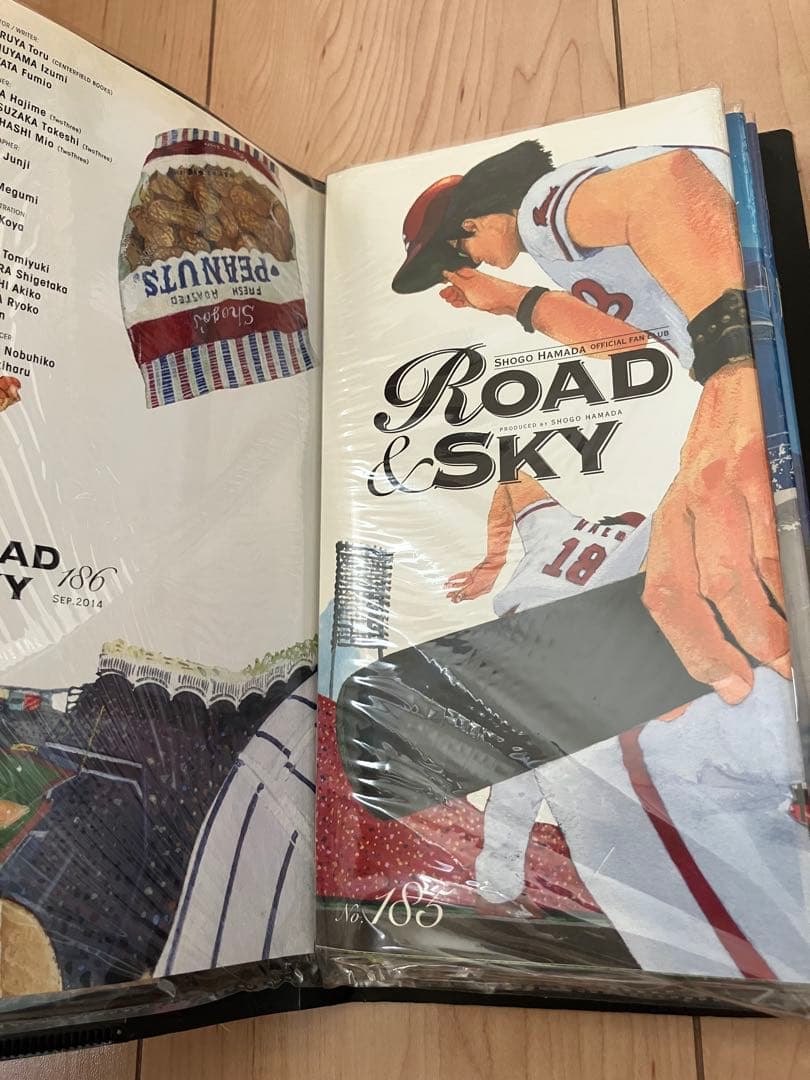 浜田省吾 コレクションセット