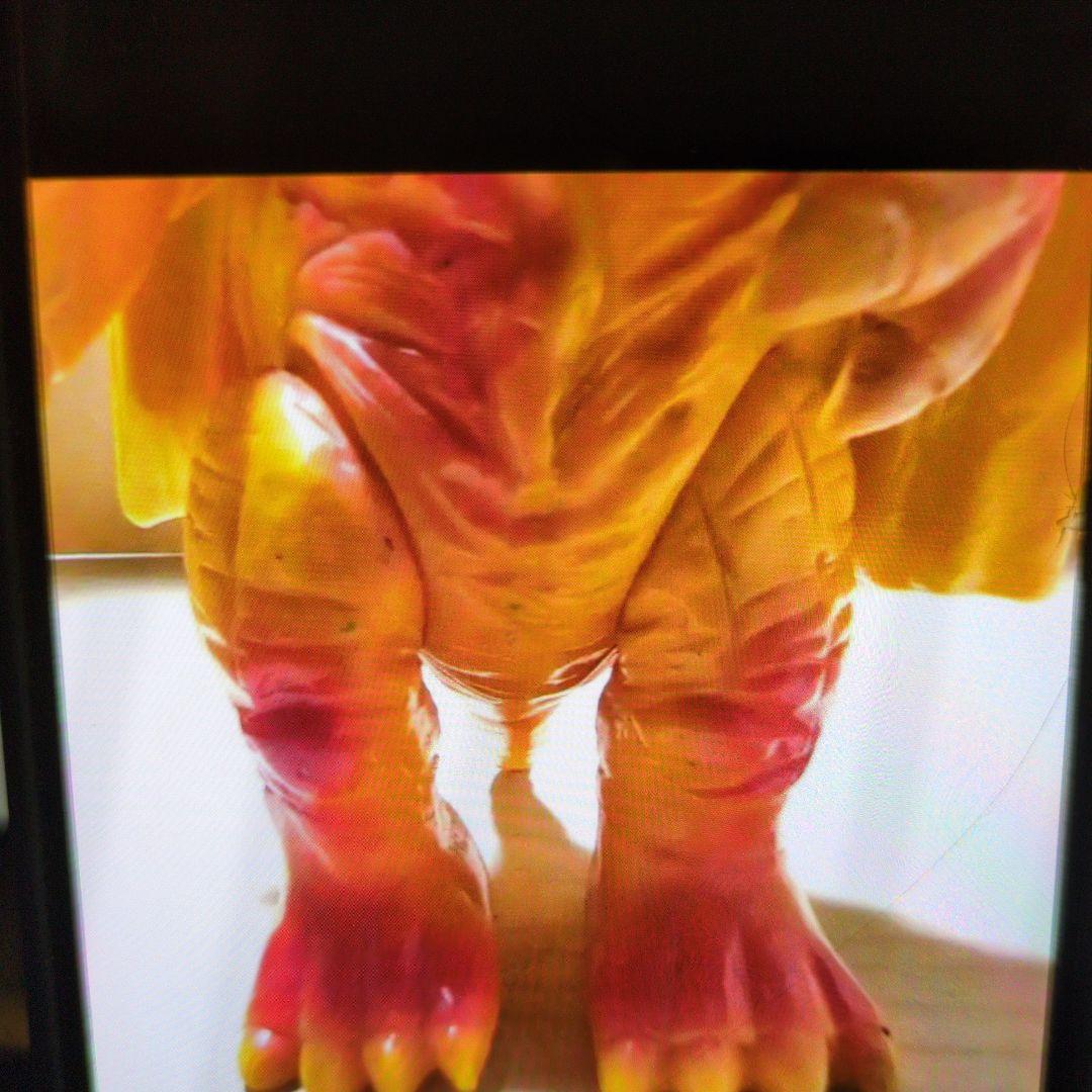 ブルマァク.ソフビ.テロチルス。