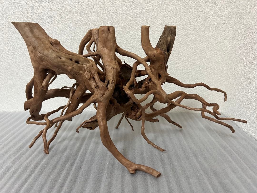 32701 ブランチウッド　流木　アクアリウム