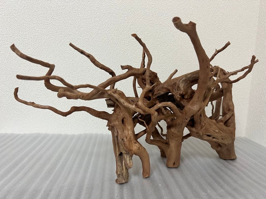 32701 ブランチウッド　流木　アクアリウム