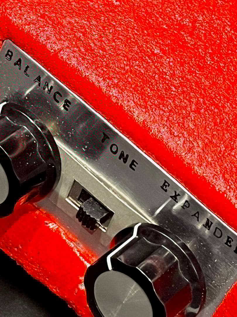 ギター DeliciousTaylormade SUPER de FUCK