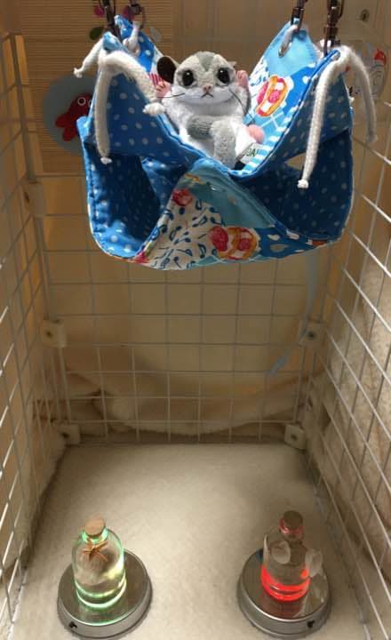 モモンガハウス(スイーツ・パッチ柄・ラメ入り)  春(夏)秋仕様 1900円