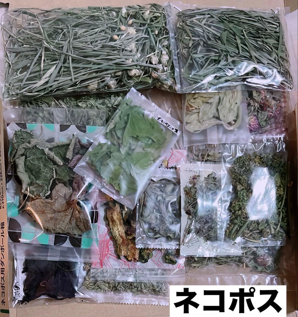 【ヴィズゥちゃん専用　7種類　BOX】