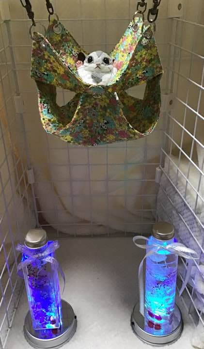 モモンガハウス(花・パンダ柄)夏仕様  涼しい夏生地を使用❗️ 1550円