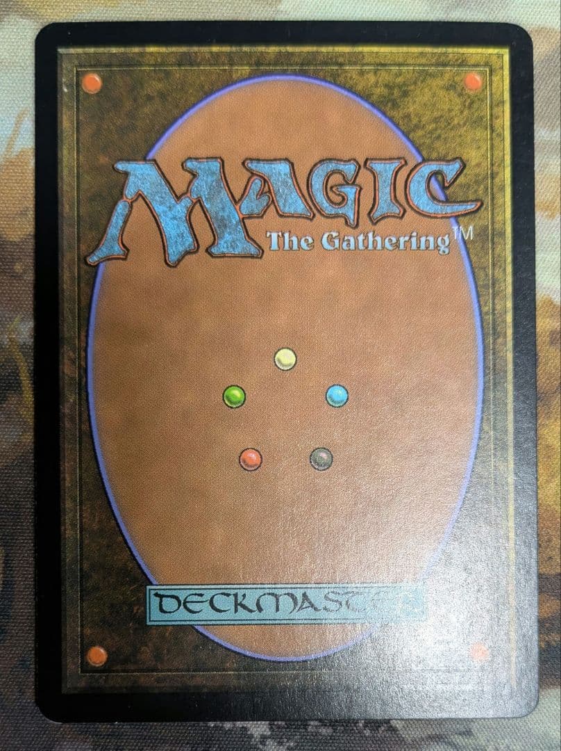 樹木茂る山麓/Wooded Foothills　ons