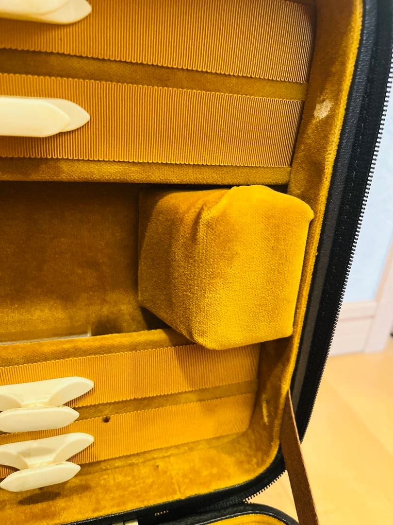 Gordge violin case バイオリンケース 黒‼️