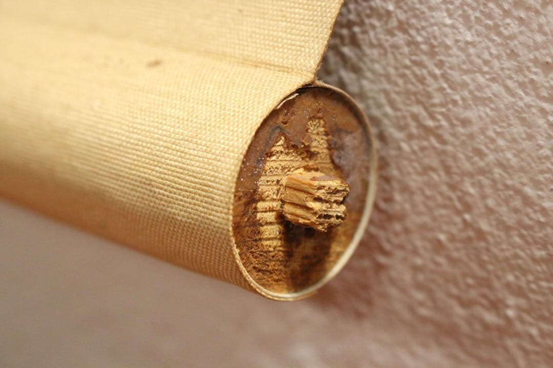 No5449 掛軸　矢野橋村　瓢箪画賛　絹本着色　合箱　古画　古美術　送料無料