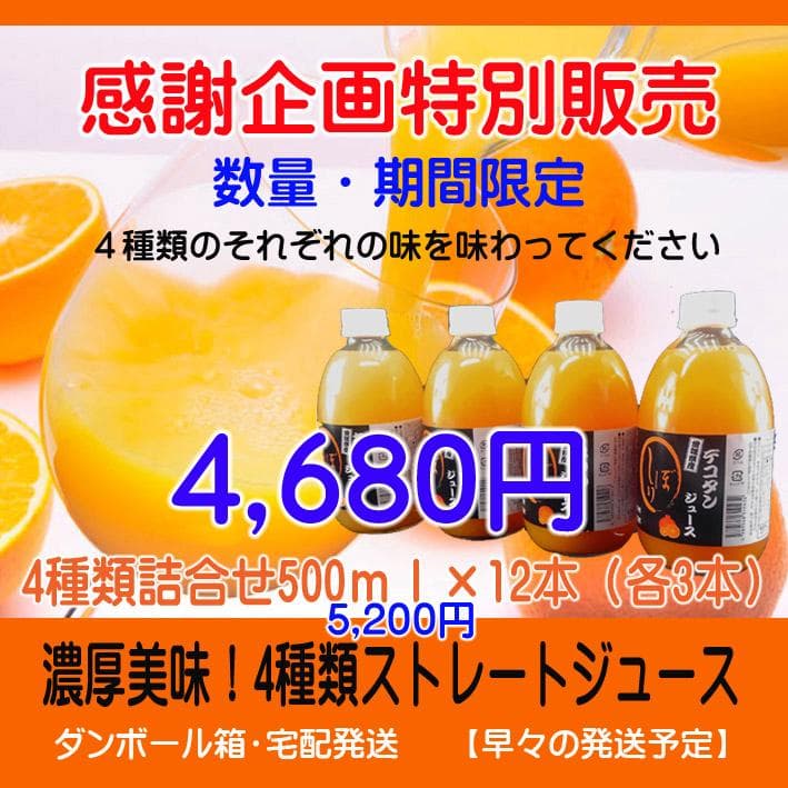 【みーみーちゃん】詰め合わせ12本+蜂蜜2本　同送