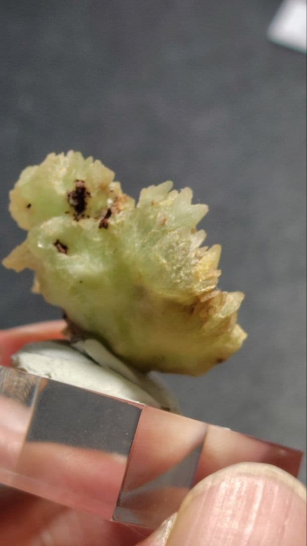 フォスフォフィライト　ボリビア産　1197