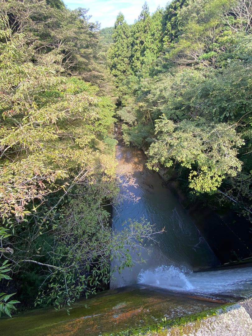 はちみつ　日本蜜蜂のハチミツ　巣箱違いの蜂蜜　奥山の奥