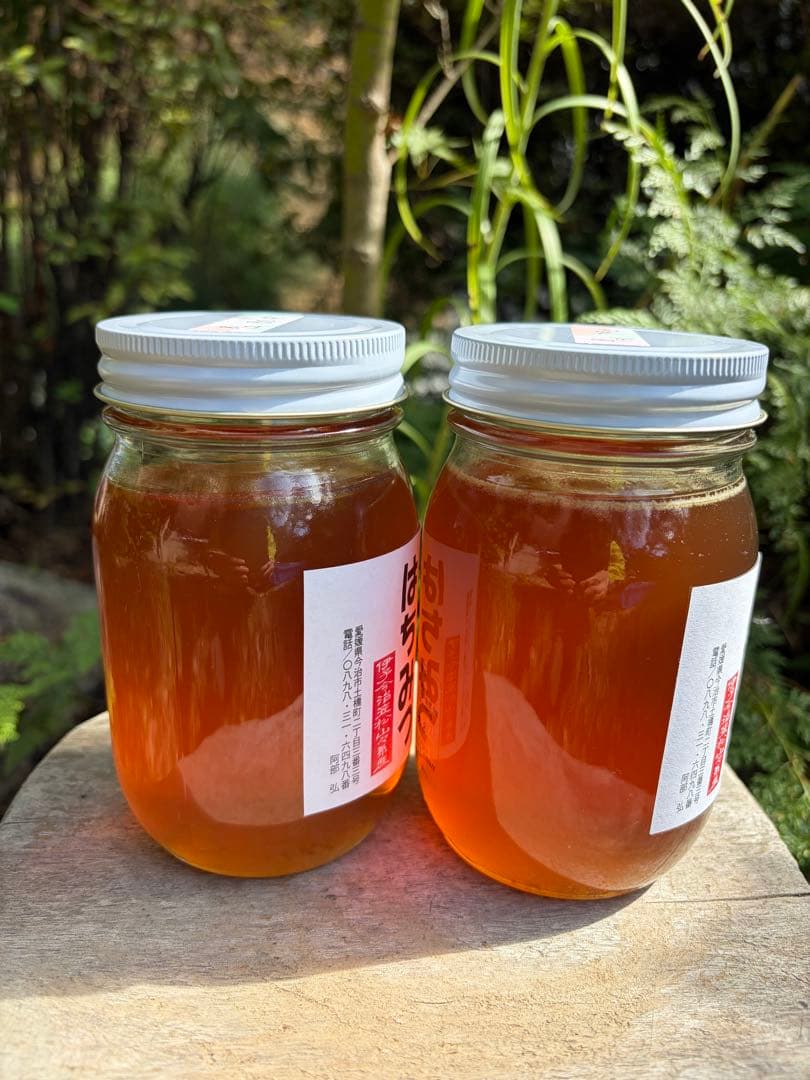 はちみつ　日本蜜蜂のハチミツ　巣箱違いの蜂蜜　奥山の奥