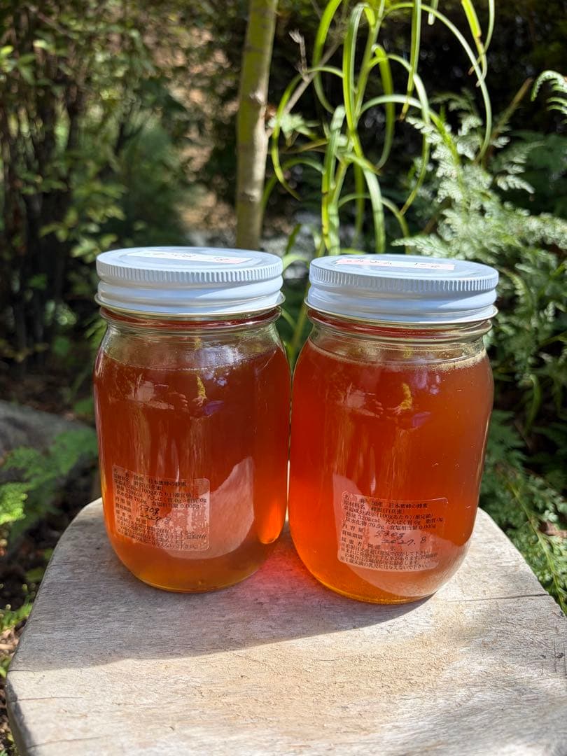 はちみつ　日本蜜蜂のハチミツ　巣箱違いの蜂蜜　奥山の奥