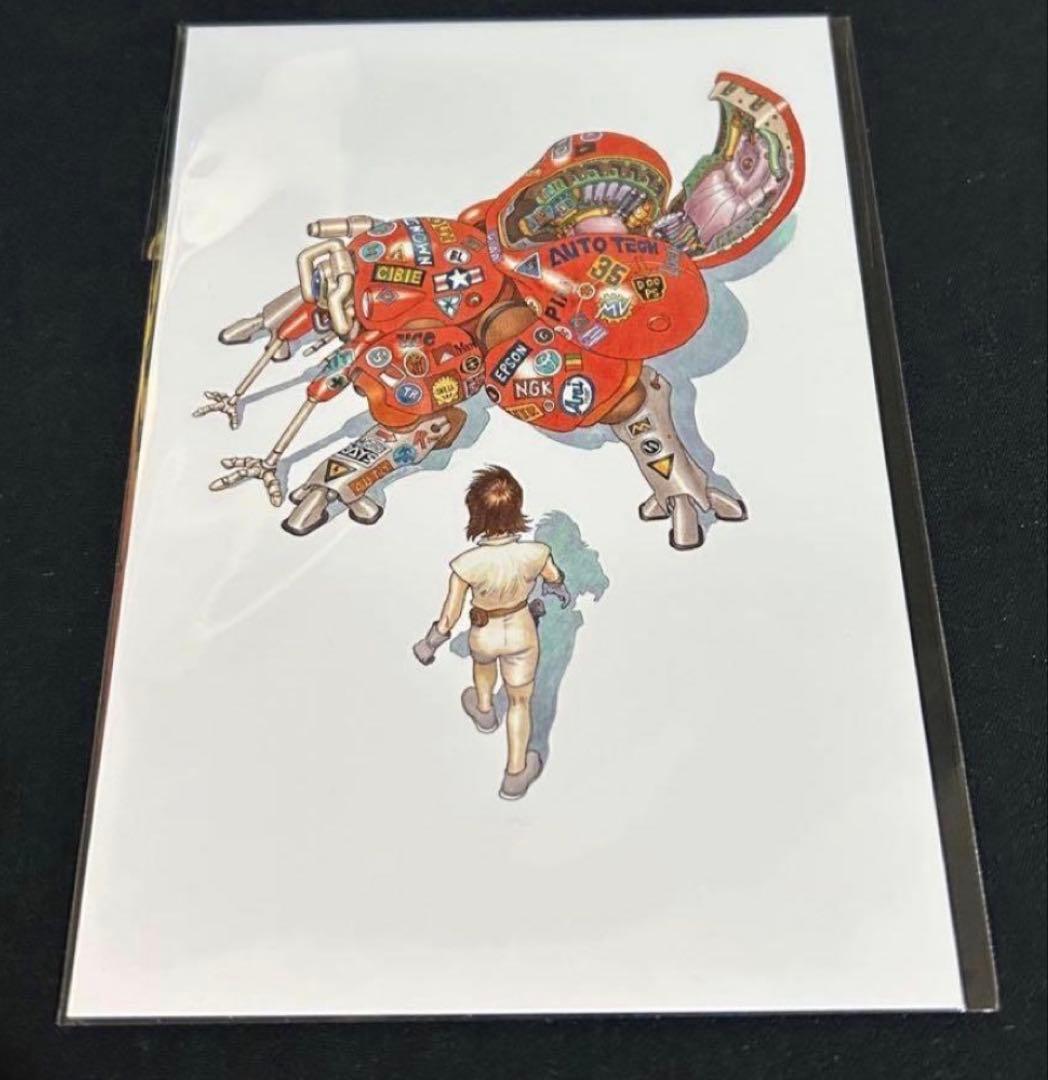 大友克洋×攻殻機動隊士郎正宗の世界展 Tシャツ ポスターポストカード3点セット