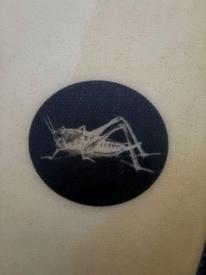 サーフィン・ボディボード grasshopper surfboard