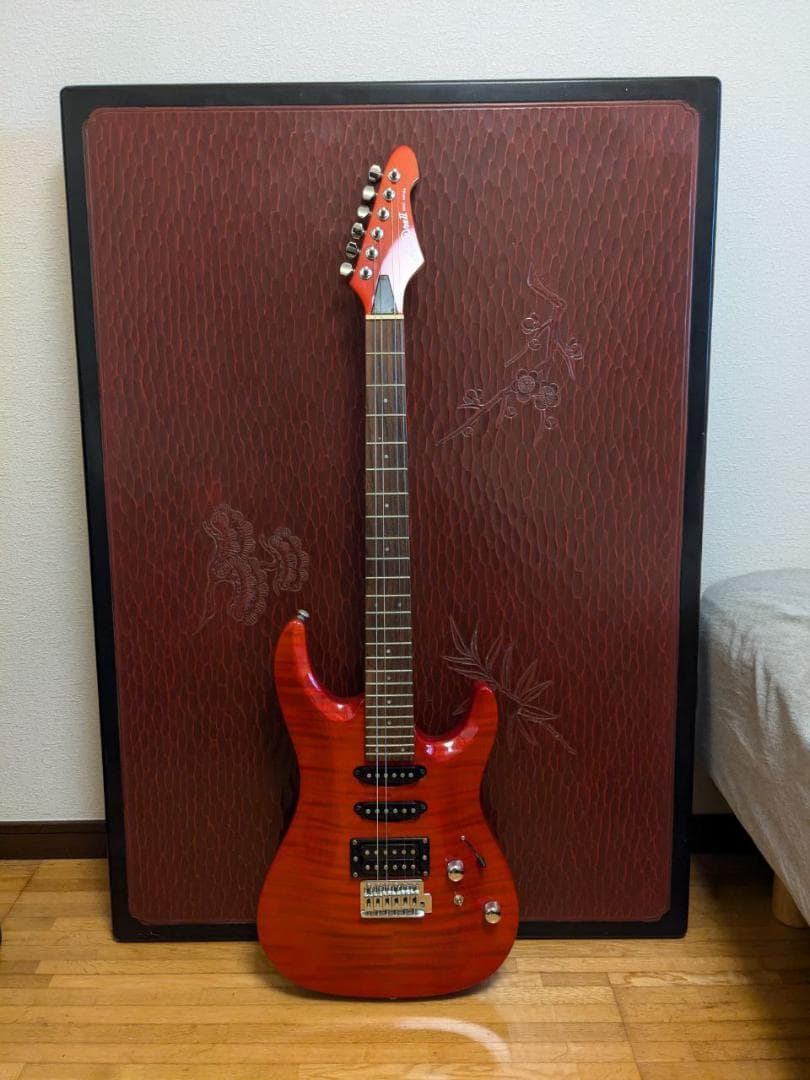 Aria Pro II エレキギター と RITTER ギターケース