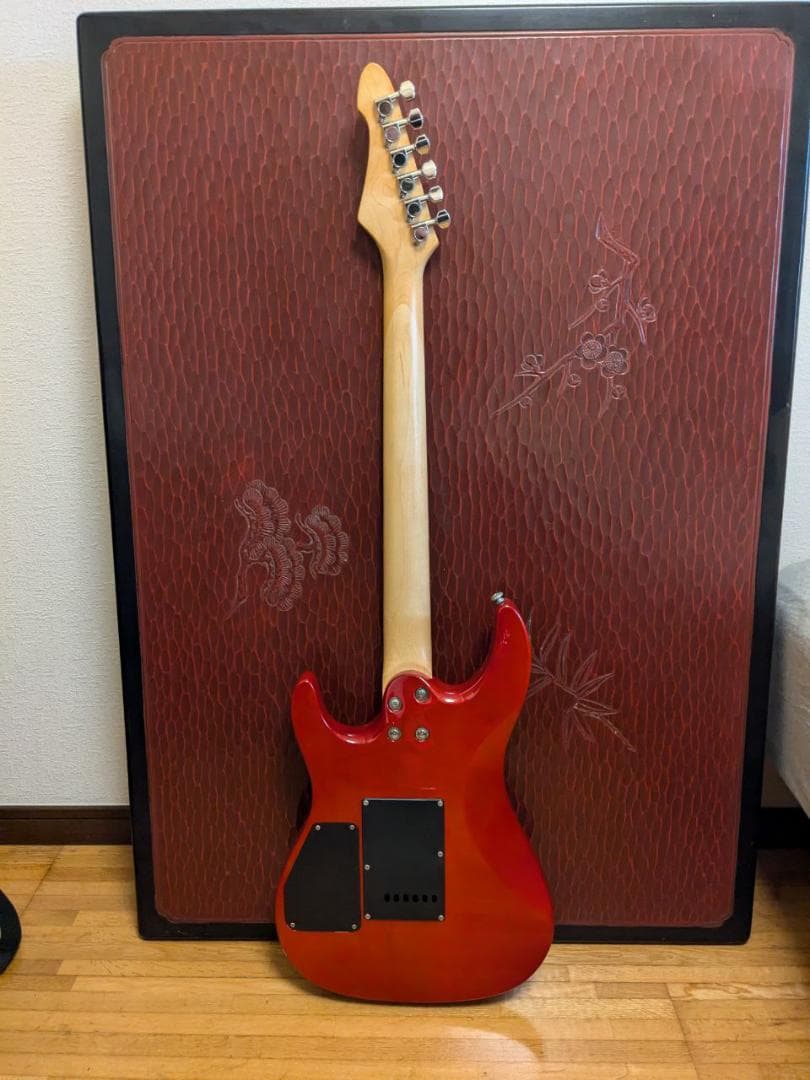 Aria Pro II エレキギター と RITTER ギターケース