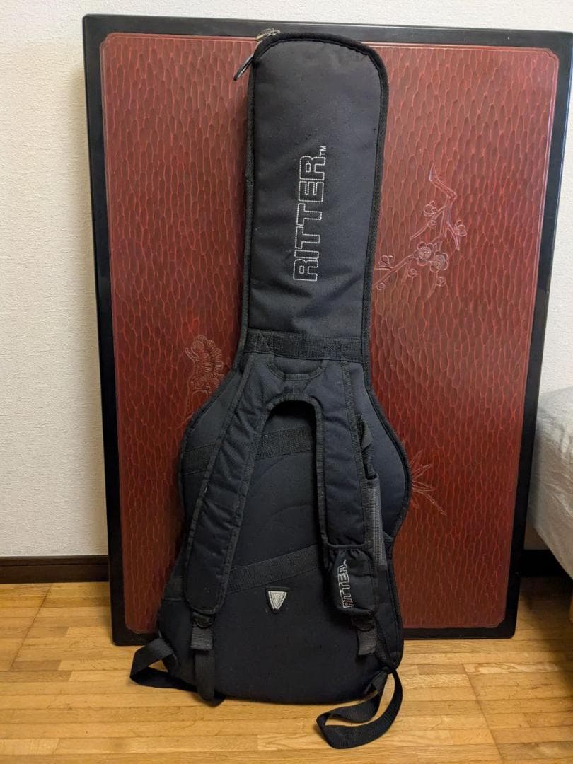 Aria Pro II エレキギター と RITTER ギターケース