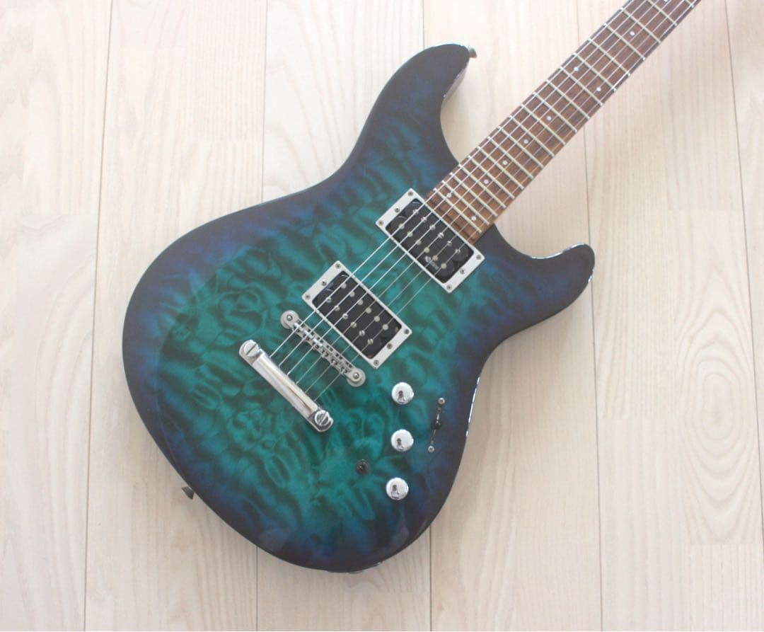 Fernandes フェルナンデス APG-65S サスティナー搭載