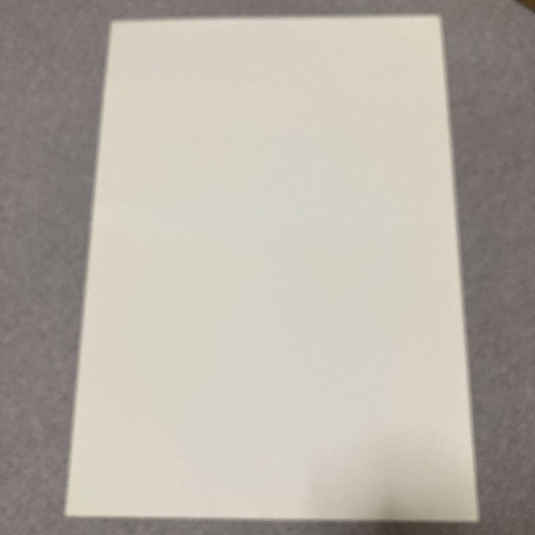 井川遥　BODY WILD FIT BOXER ポスター　美品　グンゼ　黒　１