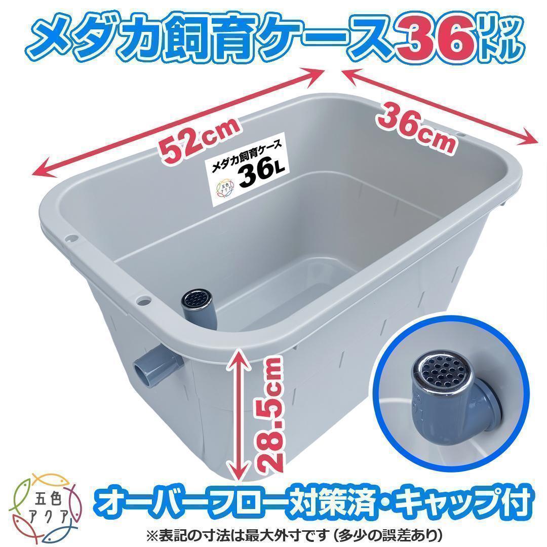 メダカ飼育ケース 36㍑x4個（4色あり）大雨対策付 めだか飼育容器 金魚鉢