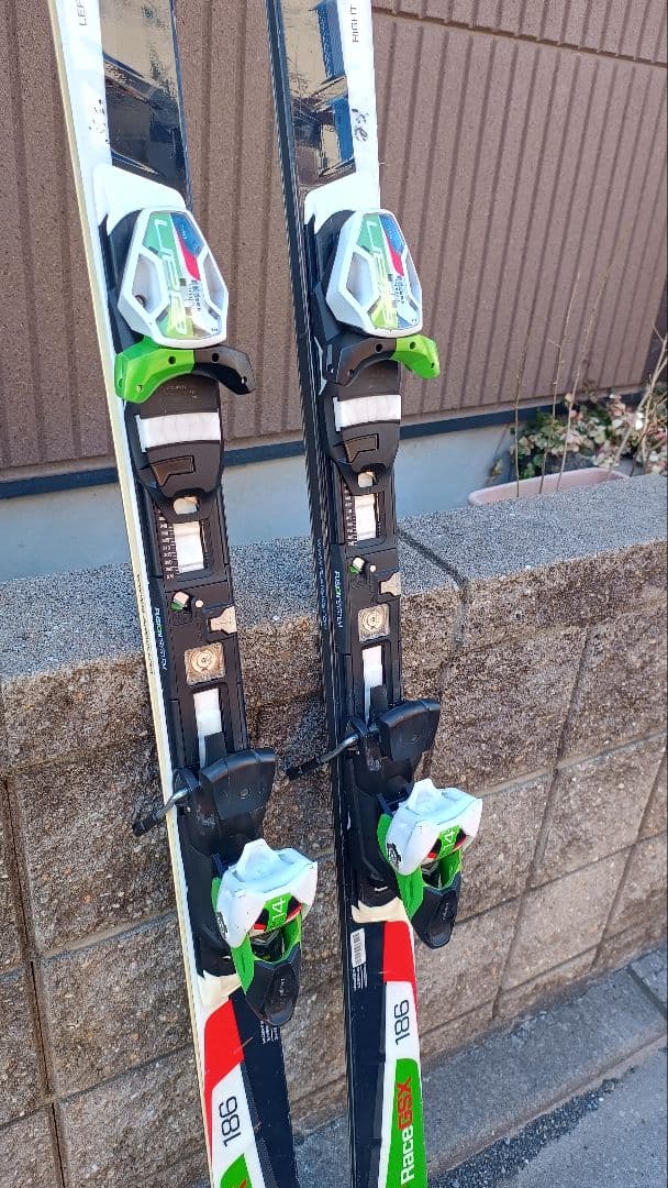 Elan Amphibio GSX Fusion 186cm GS スキー