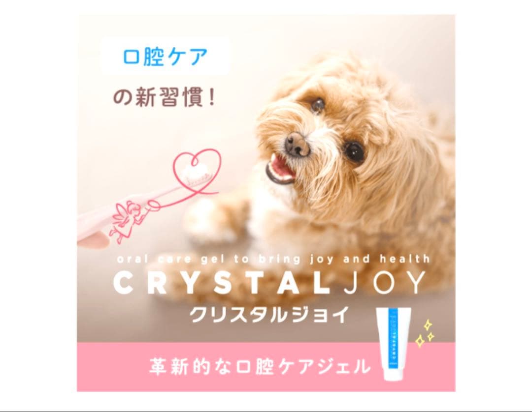 CRYSTAL JOY クリスタルジョイ　アニコム　12本　1箱