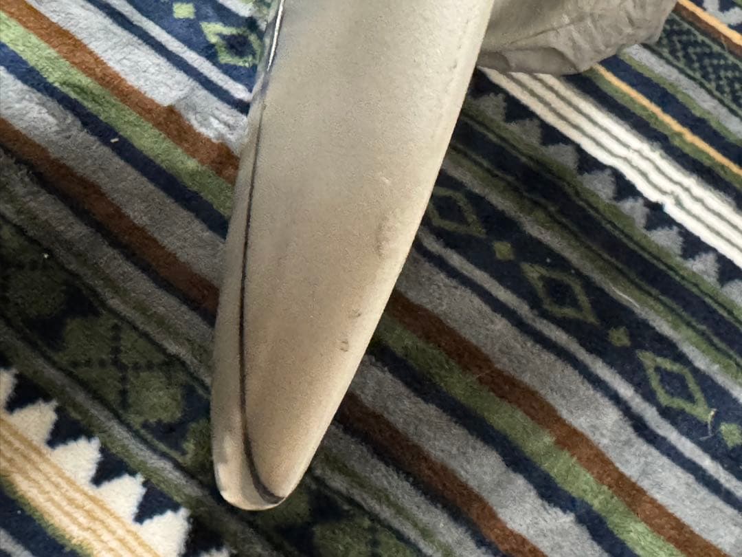 【最終値下げ】ニック・メランソン　9'5ft ダイヤモンドピッグ