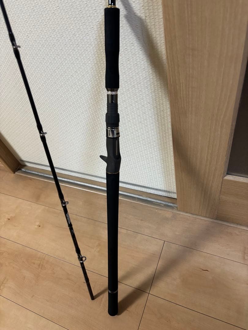 テイルウォーク　ジグフォースSSD C603