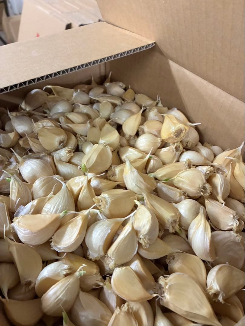 【激安】青森県産にんにく MIXバラ20kg福地ホワイト 訳あり品　お買い得