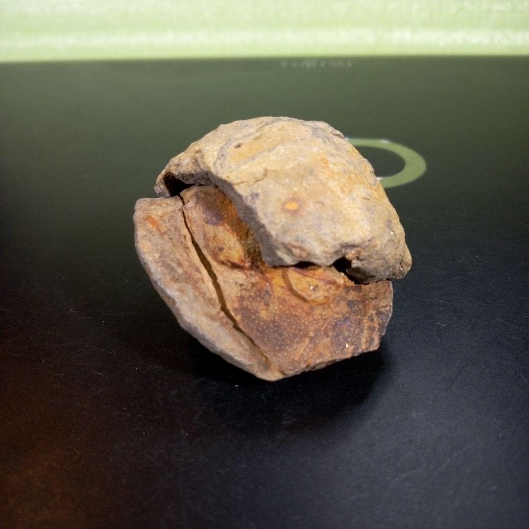 三葉虫　化石　fossil　海　ボリビア産　trilobite　ボリビア化石郡③