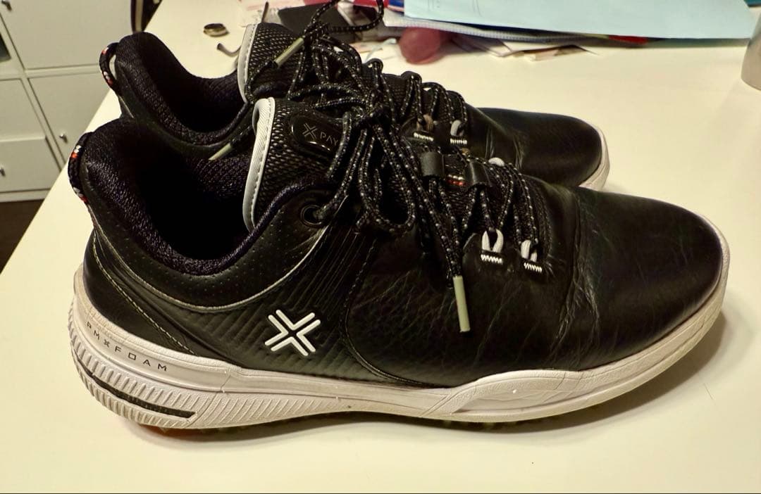 ☆ペインター X 002 LE Black 25.0 超美品！