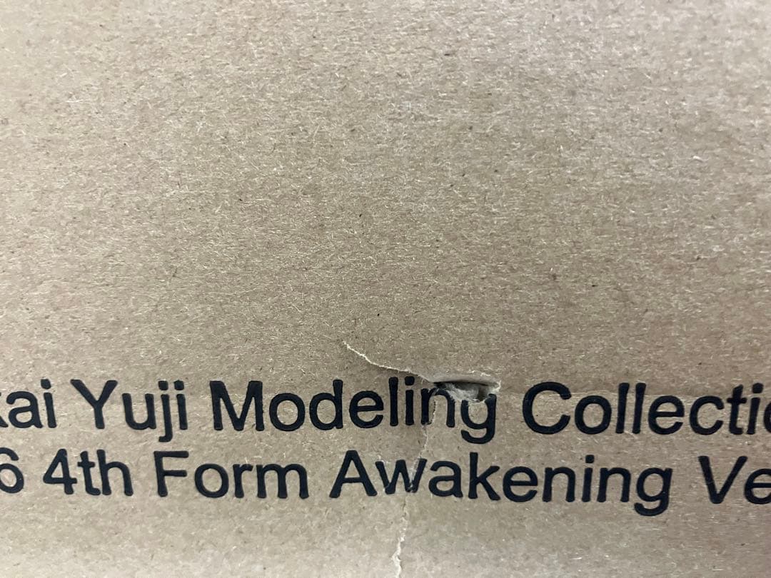 東宝30cm ゴジラ（2016） 第4形態覚醒Ver. 酒井ゆうじ　ゴジラストア