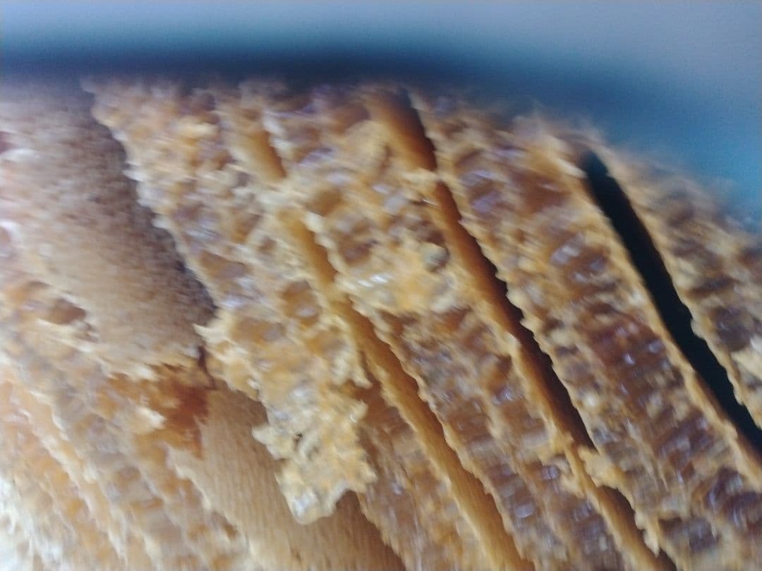 純粋日本蜂蜜、百花蜜、愛媛県産、600g×2本瓶入り