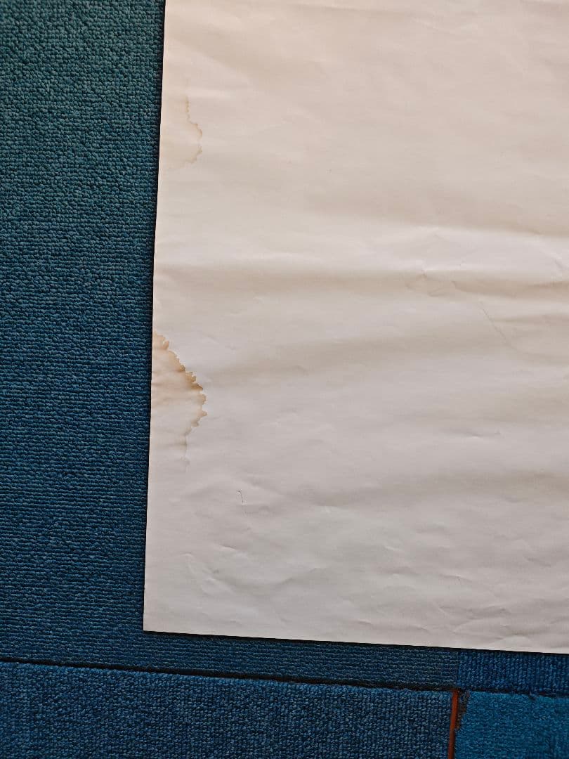 水の都の護神 ラティアス ラティオス B2ポスター