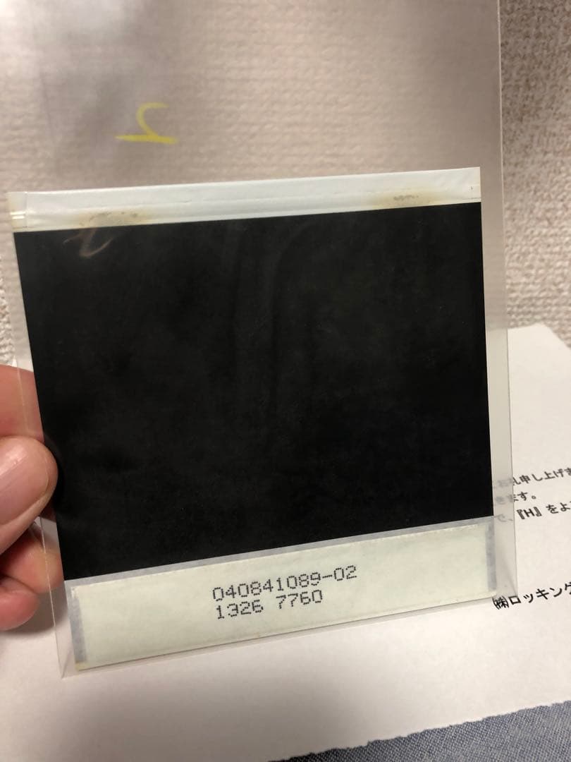 リリイ・シュシュのすべて 伊藤歩✖️Salyu 対談 直筆サイン入り写真 当選品