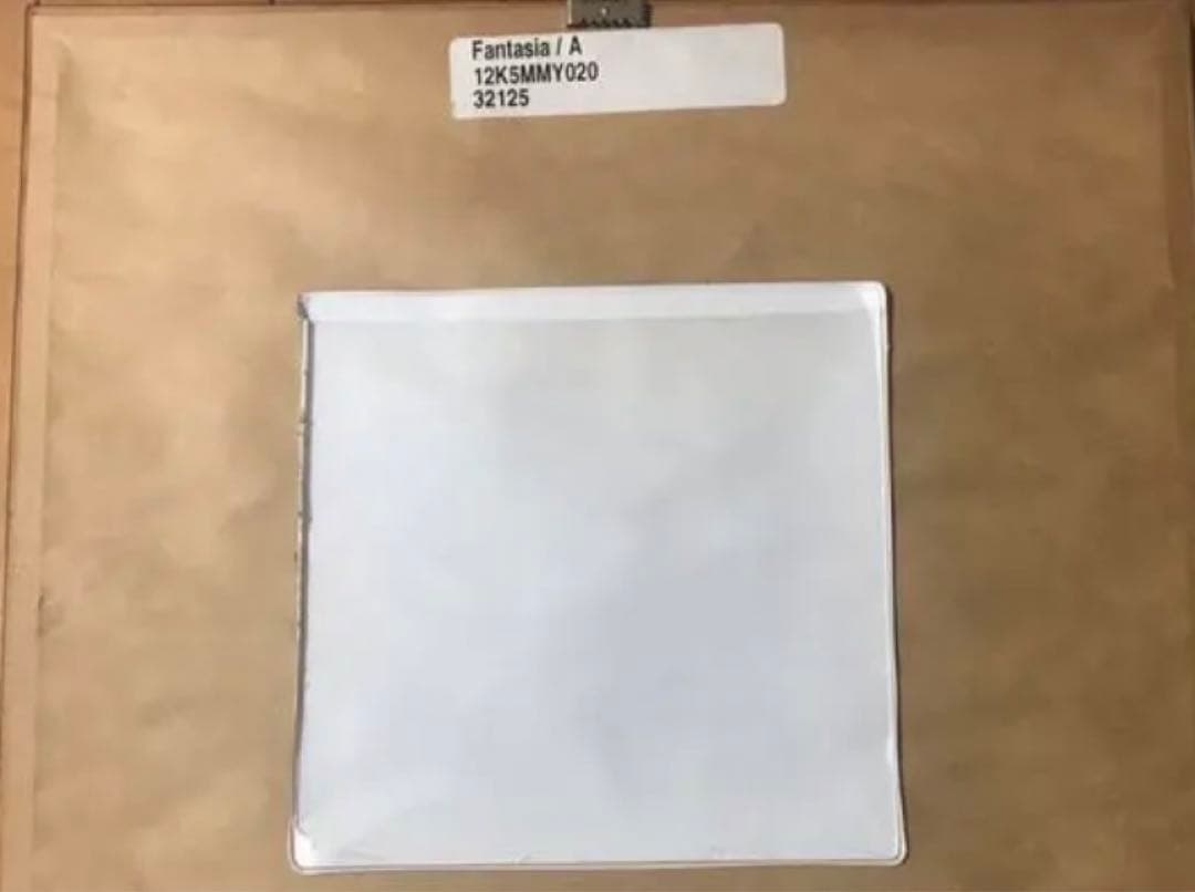 Fantasia Disney Mickey Mouse 原画 アニメ 絵画