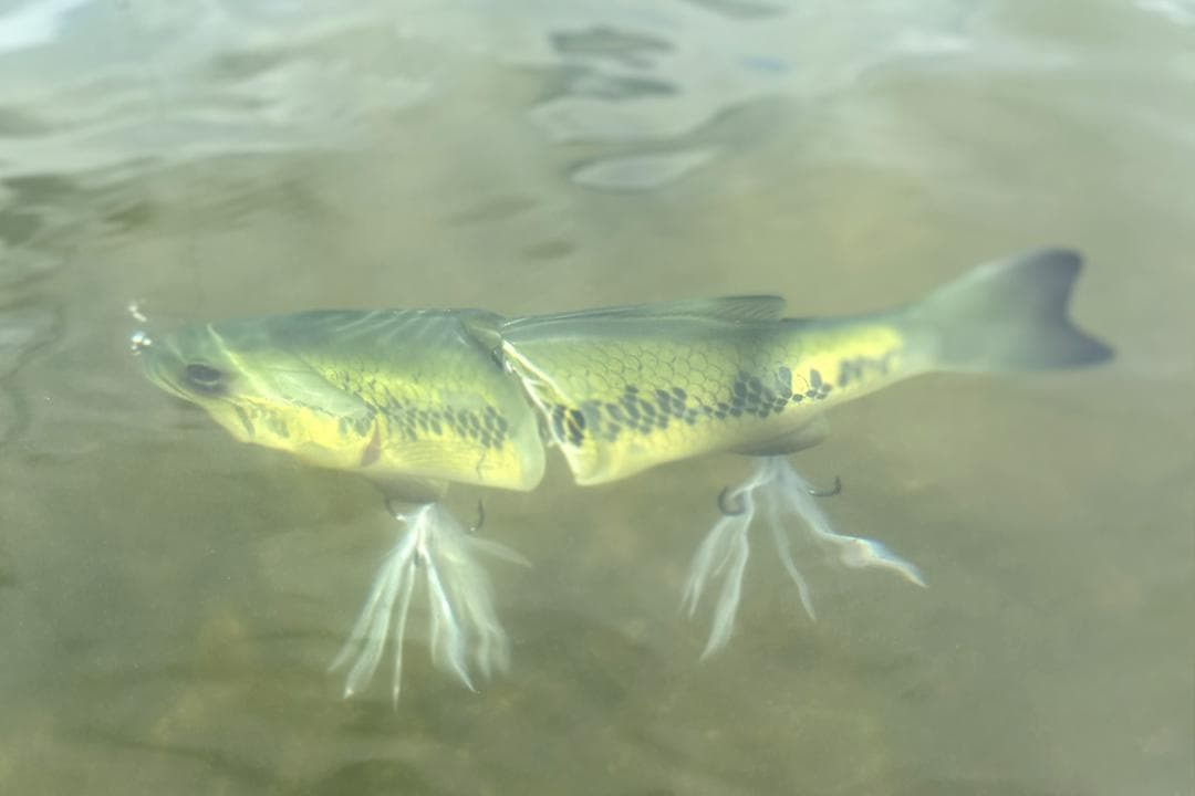 deps コードネームバス SS メンバー限定 新品 デプス スローシンキング