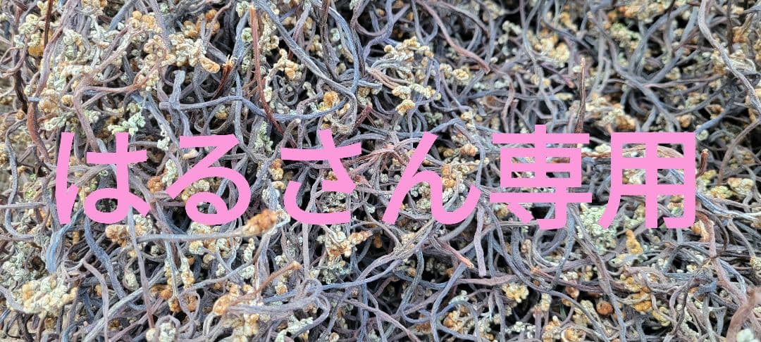 はるさん専用　令和7年乾燥わらび10キロ