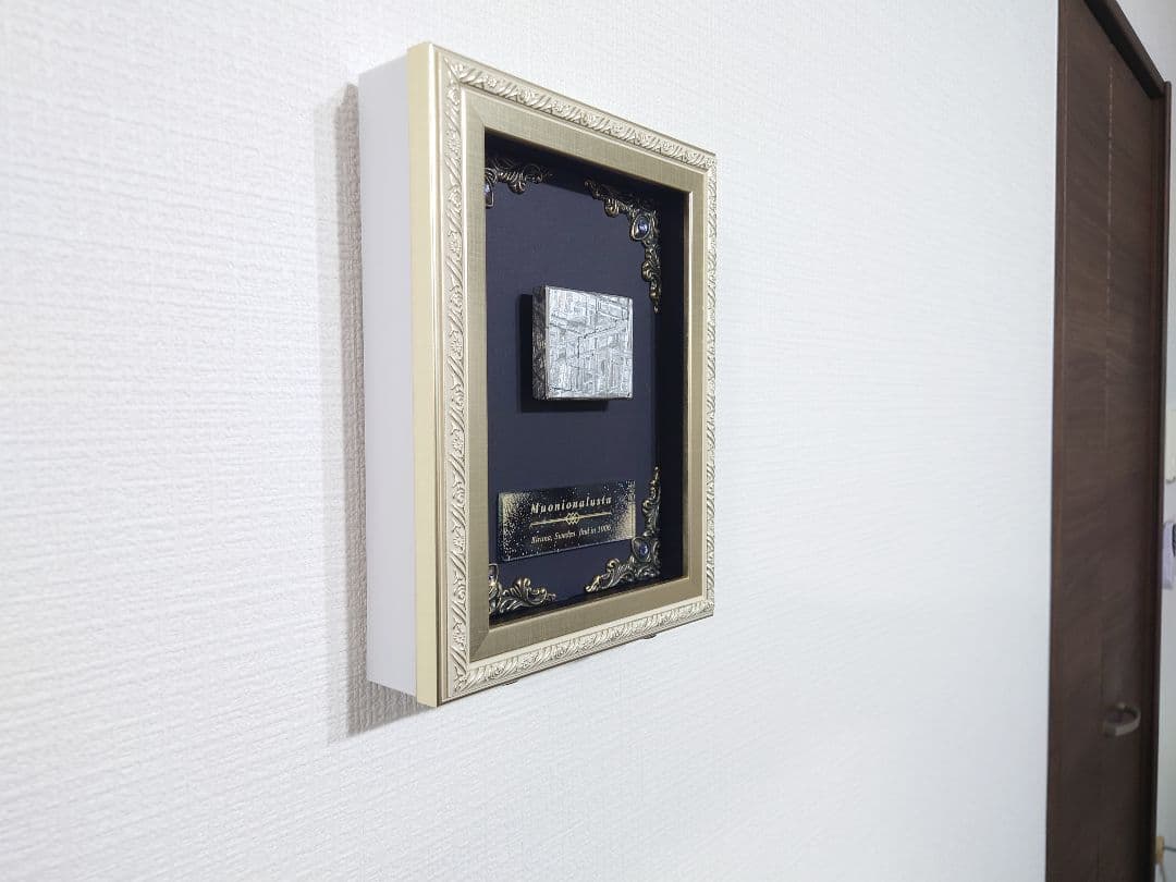 隕石絵画　ムオニオナルスタ隕石 133g鉄隕石【検索ワード ギベオン イミラック