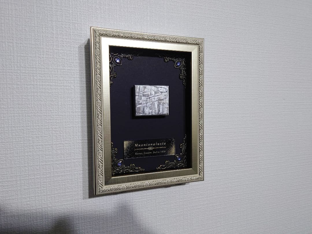 隕石絵画　ムオニオナルスタ隕石 133g鉄隕石【検索ワード ギベオン イミラック