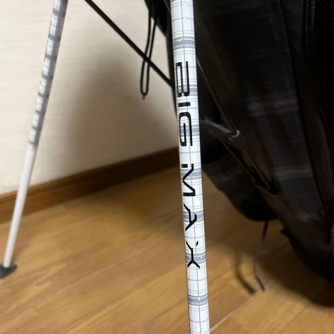 限定値下げ❣️BIG MAX スタンド式軽量キャディーバッグ美品