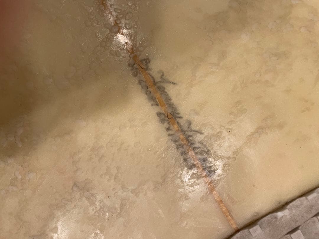 veinz　湘南6'6ftサーフボードミッドレングスショートファンボード