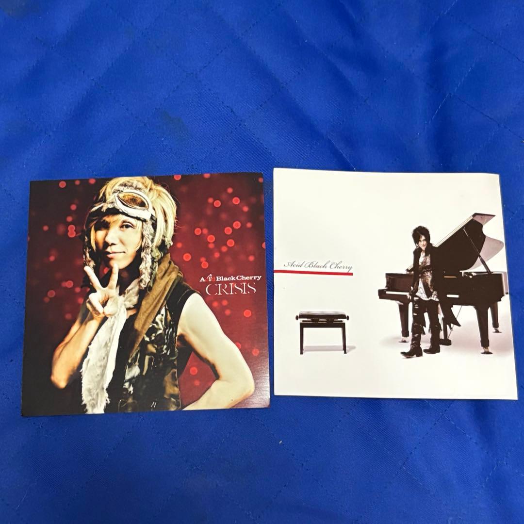 Acid Black Cherry アザージャケット