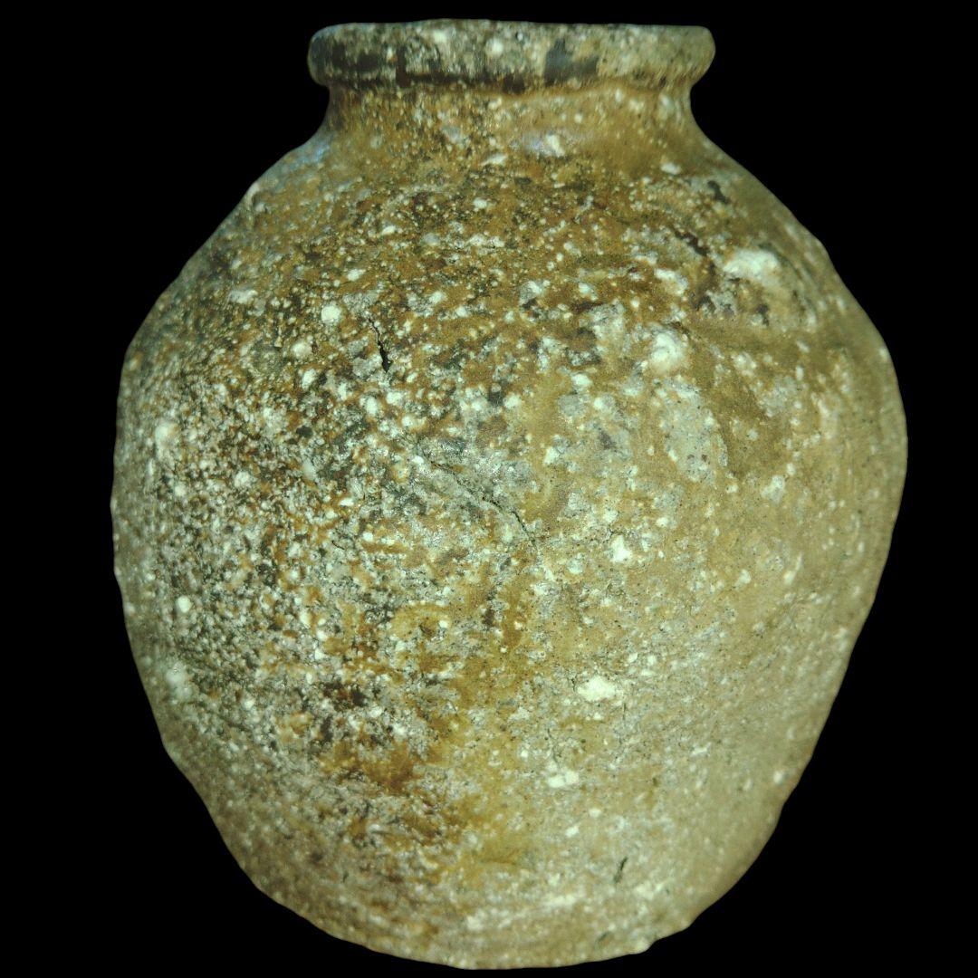 古信楽焼　灰被蹲る　窯変　花入れ　鑑賞用