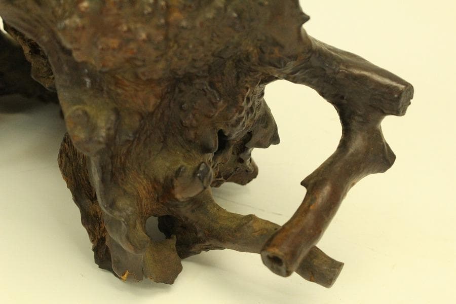 自然木 根木 奇木 置物(A917)