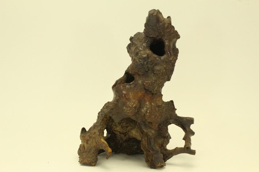 自然木 根木 奇木 置物(A917)