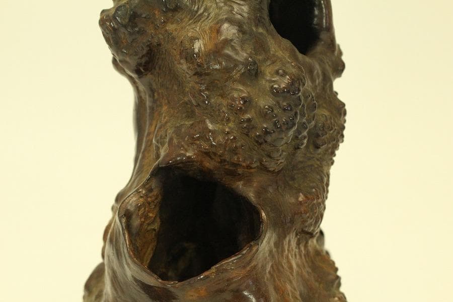 自然木 根木 奇木 置物(A917)