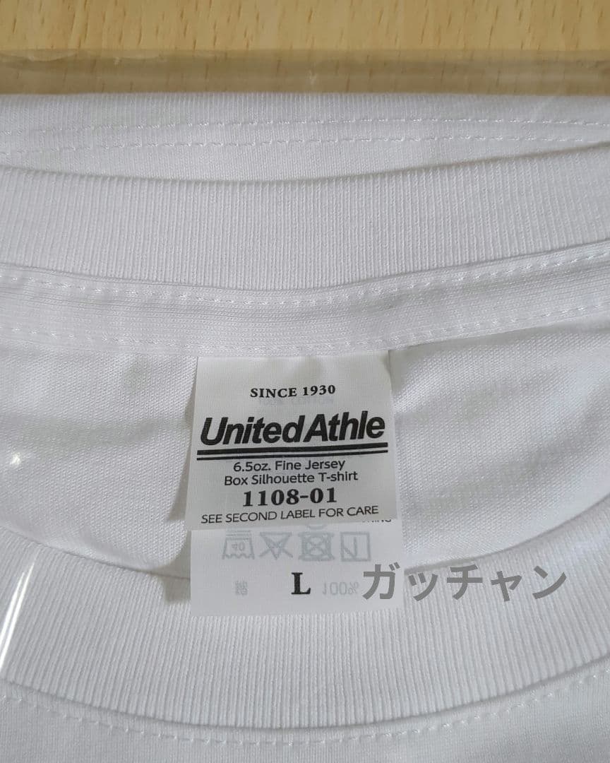 スチャダラパー　電気グルーヴ　Tシャツ Lサイズ　チャンピオンカーニバル　未開封