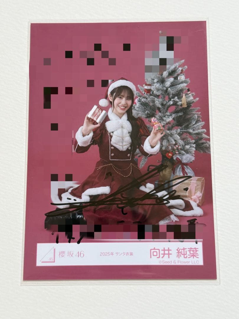 櫻坂46 向井純葉 直筆サイン生写真 2025年 サンタ衣装